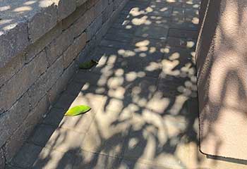 Wall and Pillar Installation | S&P Hardscape Remodeling Los Angeles | Santa Monica Wall and Pillar Installation | S&P Hardscape Remodeling Los Angeles | Santa Monica